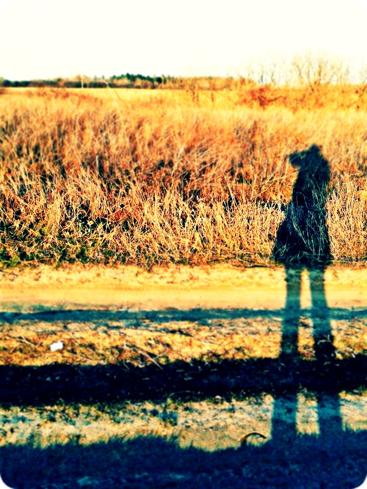 1977082_644758438930783_144332745_n