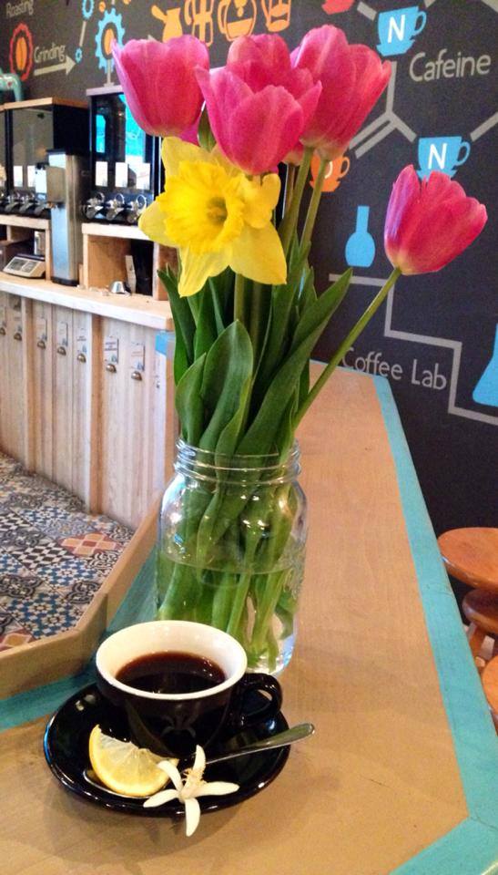 1924575_269483876561352_733557624_n